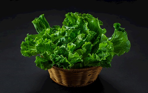 農(nóng)殘儀器:全自動農(nóng)藥殘留物檢測儀/多功能食品安全檢測儀/農(nóng)藥殘留快速檢測儀