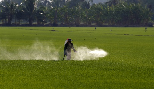 全自動農(nóng)藥殘留檢測儀的功能特點有哪些?