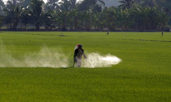 瓜果蔬菜的農(nóng)藥殘留怎么規(guī)避?如何判斷食品是否含有農(nóng)藥殘留