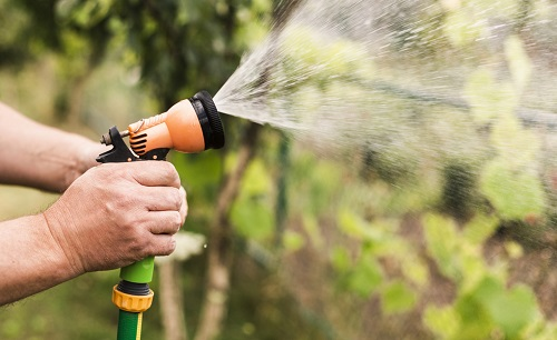 蔬果買回用農(nóng)殘檢測(cè)儀測(cè)一測(cè),食品安全更放心!