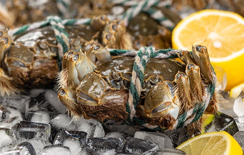 隔夜蟹、死螃蟹到底能不能吃?小心菌落總數(shù)激增